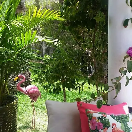 Luxury Bungalow”paradise Birds” * Maspalomas (Gran Canaria)