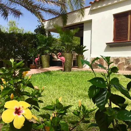 Luxury Bungalow”paradise Birds” * Maspalomas (Gran Canaria)