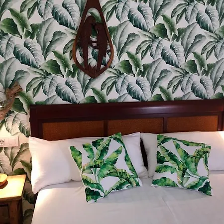 Apartment Luxury Bungalow”paradise Birds” *