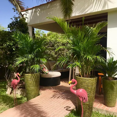 Appartamento Luxury Bungalow”paradise Birds” Maspalomas (Gran Canaria)