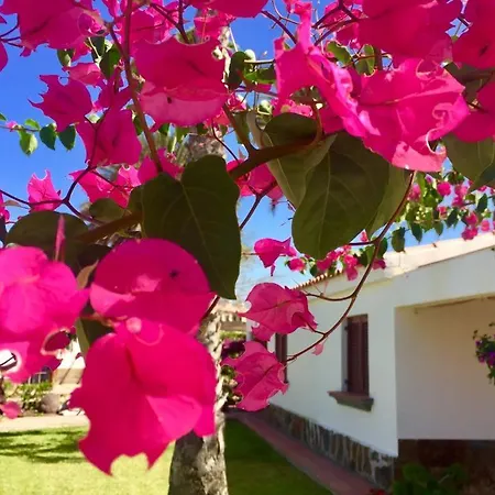 Luxury Bungalow”paradise Birds” Appartamento